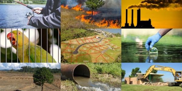 infracao ambiental