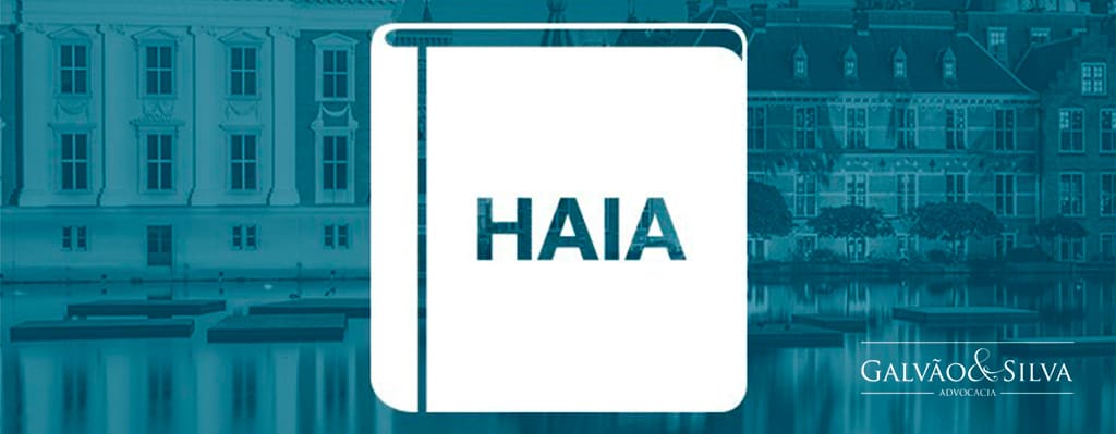 pacto de haia e sua importancia no direito internacional