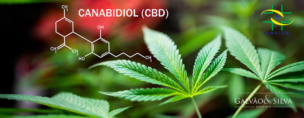 regularizacao do canabidiol