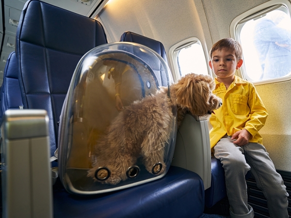 como levar cachorro no avião