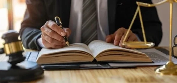 advocacia em direito constitucional