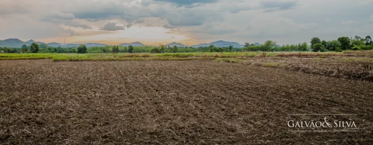 direitos e deveres do proprietario de imovel rural