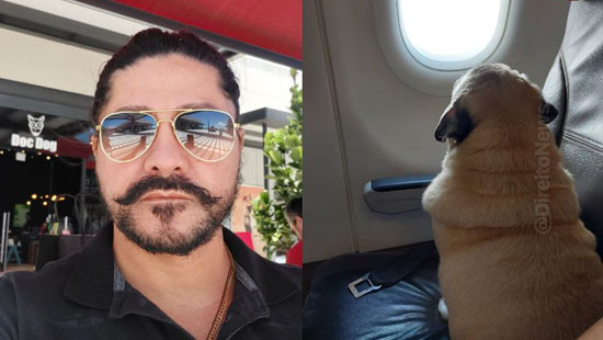 autorização na Justiça para cão viajar na cabine de avião com tutora