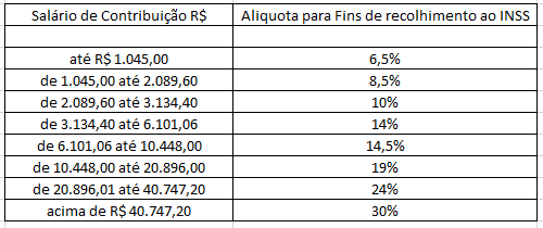 inss funcionario publico